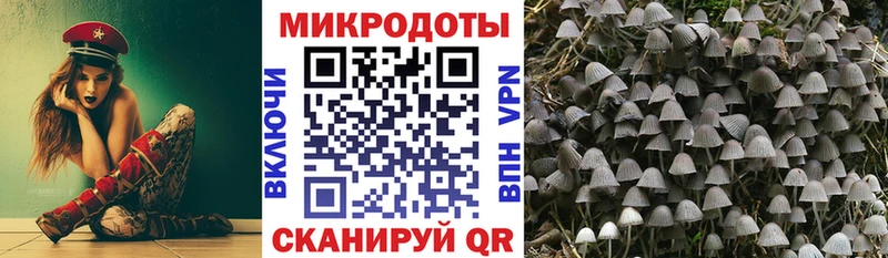 Купить  Белгород  Псилоцибиновые грибы мухоморы 