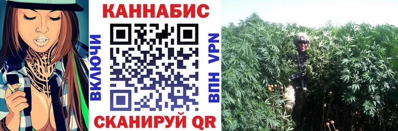 Купить где  Белгород  Канабис THC 21% 